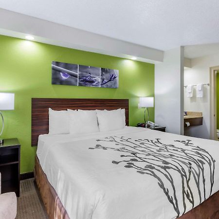 Sleep Inn Near Busch Gardens - Usf Temple Terrace Eksteriør billede