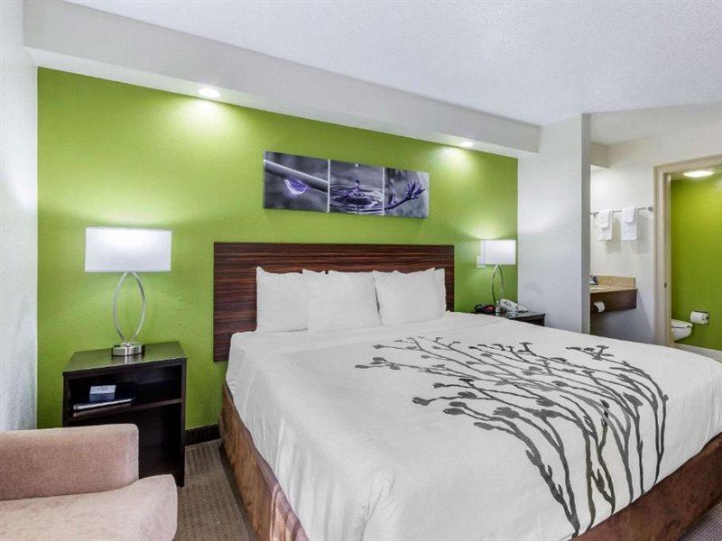 Sleep Inn Near Busch Gardens - Usf Temple Terrace Eksteriør billede