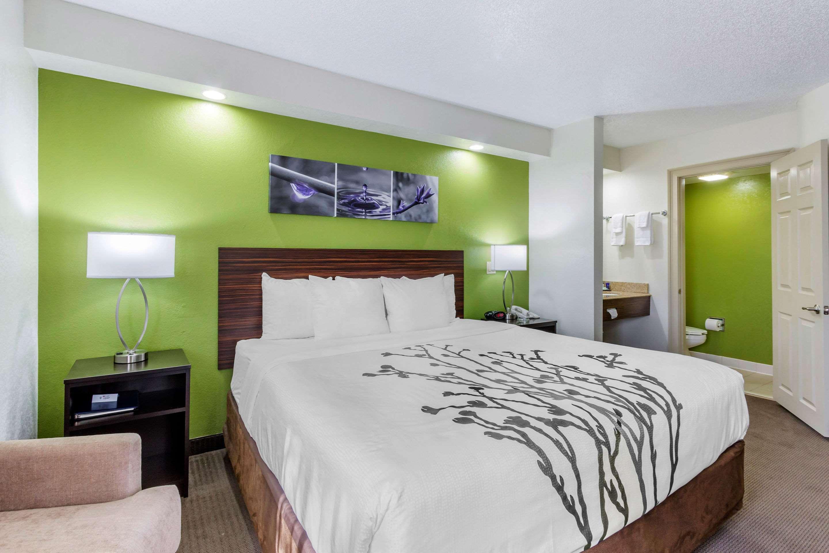 Sleep Inn Near Busch Gardens - Usf Temple Terrace Eksteriør billede