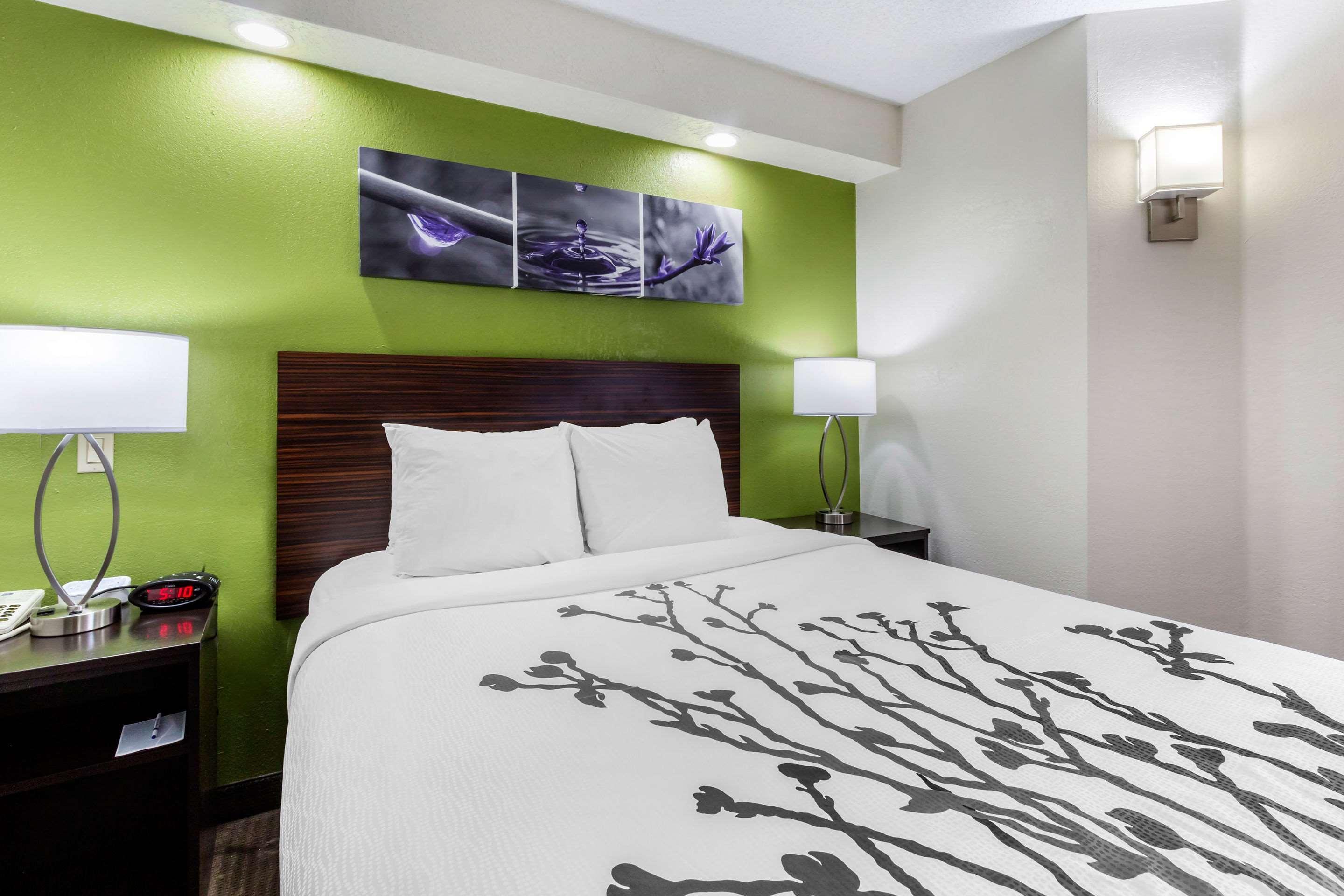 Sleep Inn Near Busch Gardens - Usf Temple Terrace Eksteriør billede