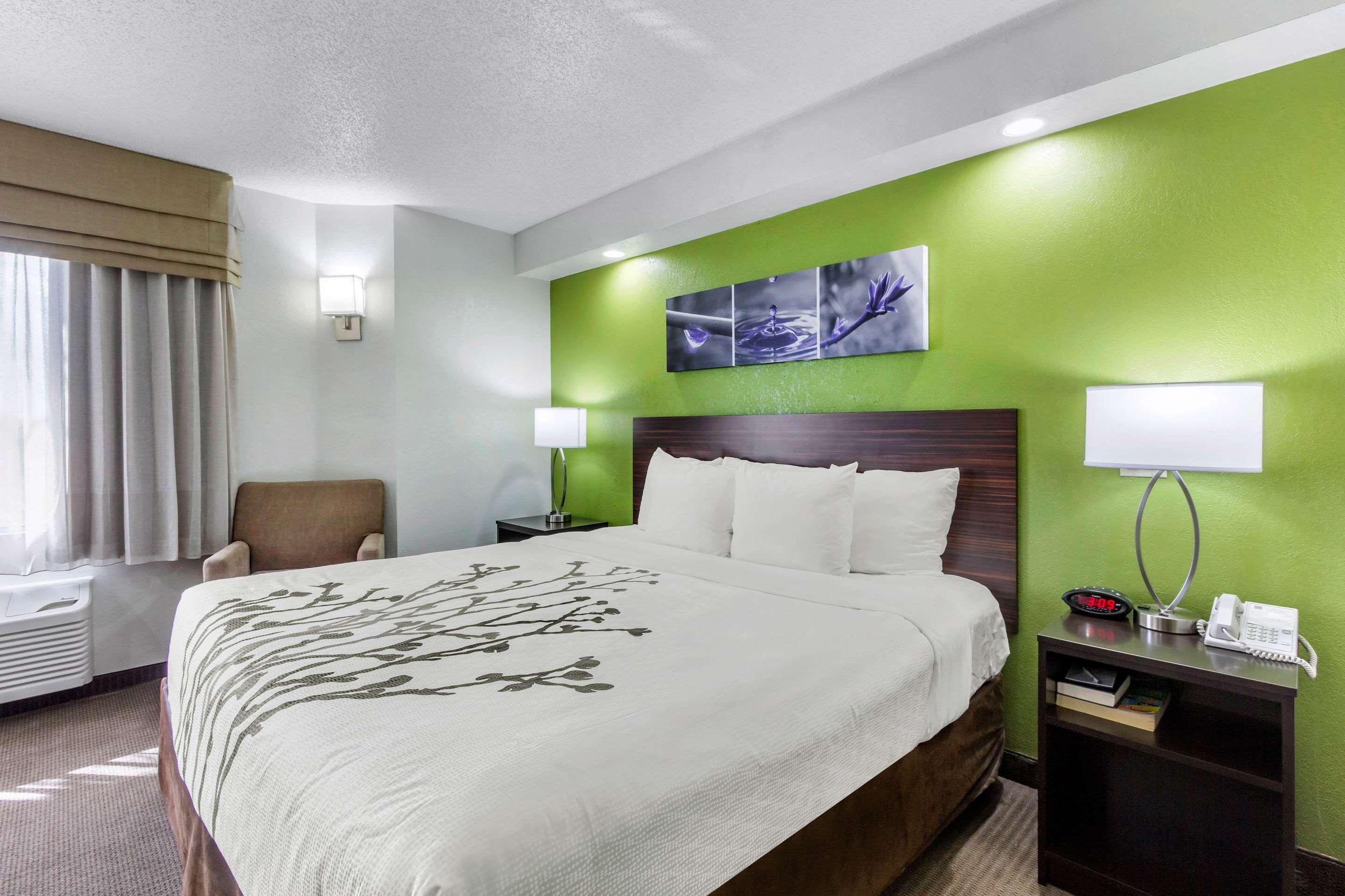 Sleep Inn Near Busch Gardens - Usf Temple Terrace Eksteriør billede
