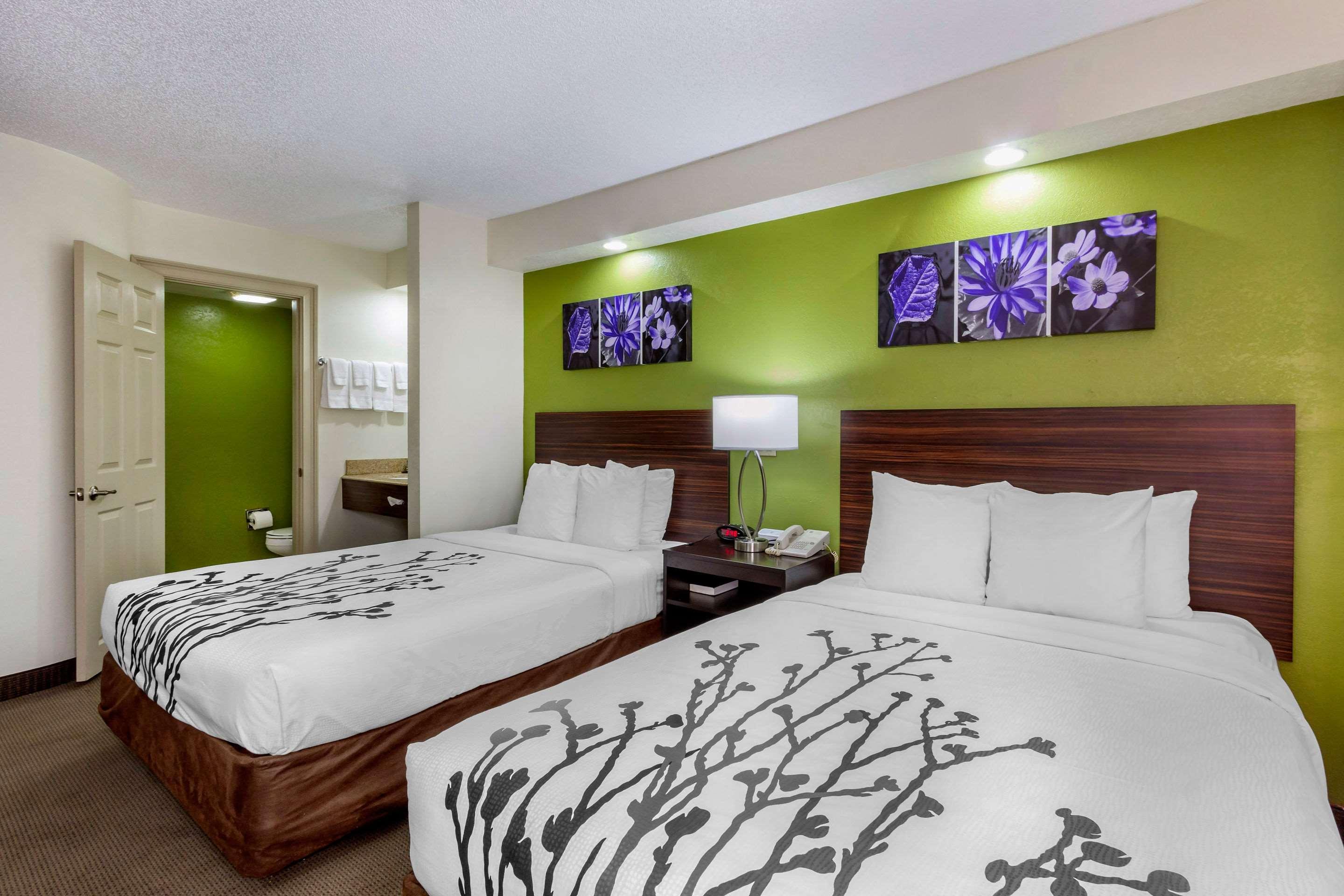 Sleep Inn Near Busch Gardens - Usf Temple Terrace Eksteriør billede