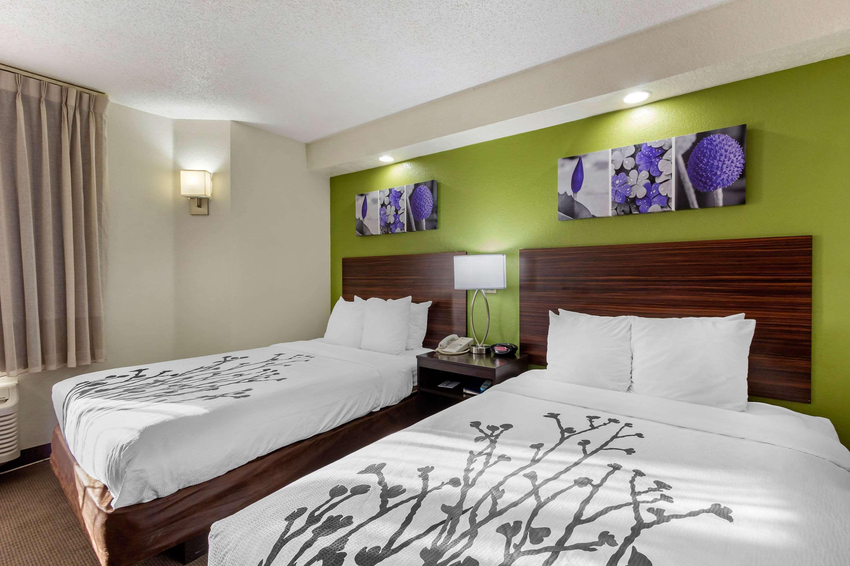 Sleep Inn Near Busch Gardens - Usf Temple Terrace Eksteriør billede